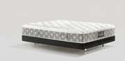 DolceVita Dual 12 - Magniflex Amérique du Nord