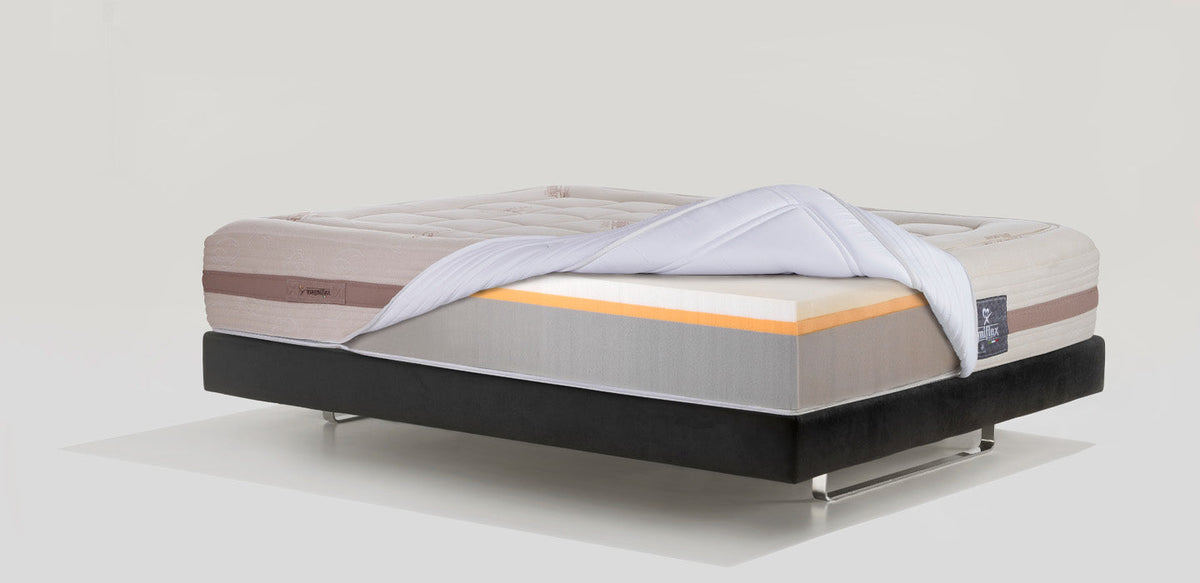 Toscana Cotton Grande Dual 12 - Magniflex Amérique du Nord