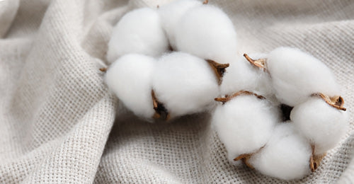 100% Cotton