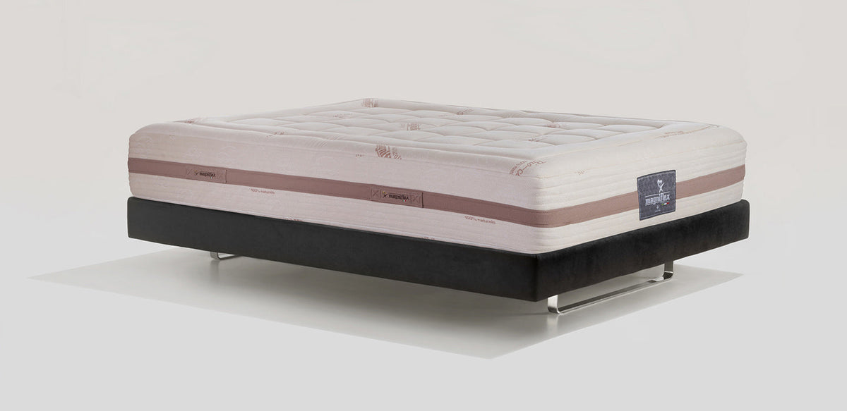 Toscana Cotton Grande Dual 12 - Magniflex Amérique du Nord