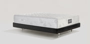 Virtuoso Elegante - Magniflex Amérique du Nord